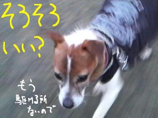 今日カズ090118 8