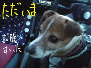 今日カズ090118 9