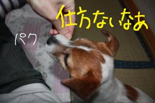 今日カズ０９０３０１　３