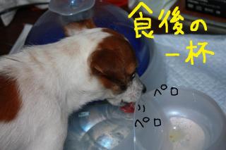 今日カズ０９０３０１　５