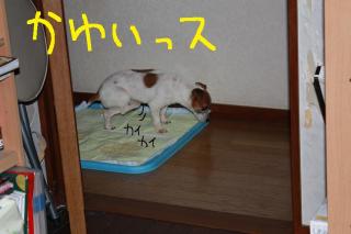 今日カズ０９０３０１　６