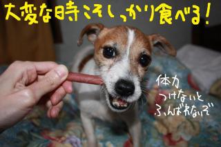 今日カズ０９０３３１　２