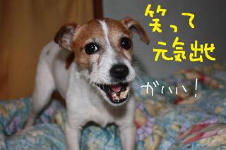 今日カズ０９０３３１　５