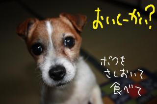 今日カズ０９０４０５　２