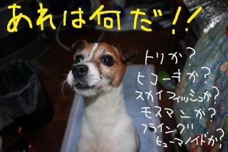 今日カズ０９０４０５　３