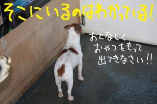 今日カズ０９０４０７　２