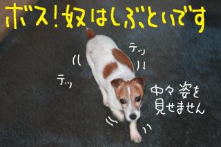 今日カズ０９０４０７　４