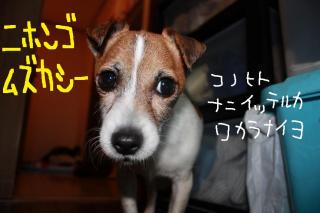 今日カズ０９０４０８　５