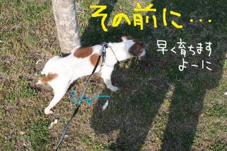 今日カズ０９０４０９　２
