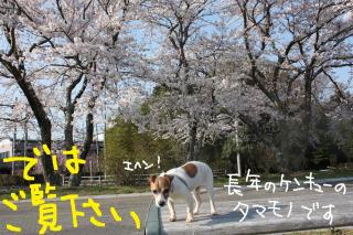 今日カズ０９０４０９　５