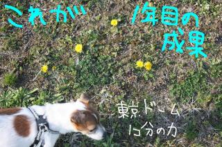 今日カズ０９０４０９　６