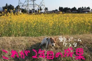 今日カズ０９０４０９　７