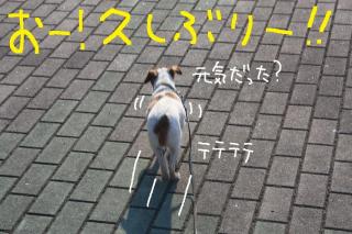 今日カズ０９０４０９　９