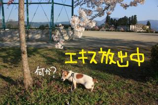 今日カズ０９０４０９　１０