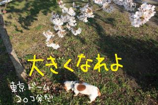 今日カズ０９０４０９　１１