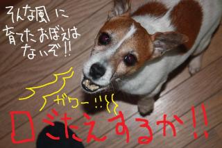 今日カズ０９０４１０　２