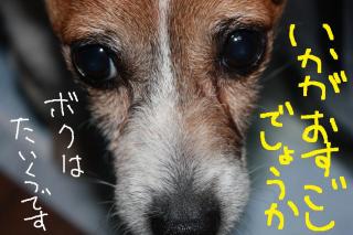 今日カズ０９０４１１　１