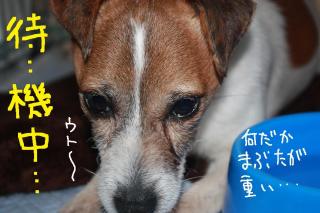 今日カズ０９０４１１　３
