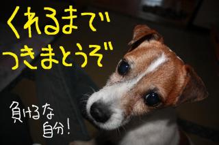 今日カズ０９０４１２　５