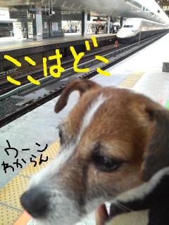 今日カズ０９０４１２　６