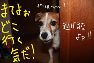 今日カズ０９０４１３　３