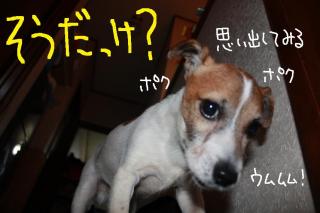 今日カズ０９０４１３　５
