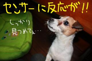 今日カズ０９０４１４　２