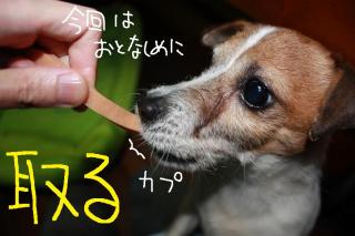 今日カズ０９０４１４　６
