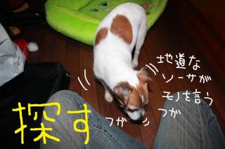 今日カズ０９０４１４　８