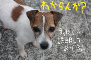 今日カズ０９０４１５　３