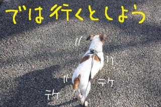 今日カズ０９０４１５　６