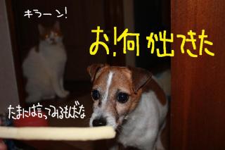 今日カズ０９０４１８　２