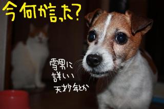 今日カズ０９０４１８　８