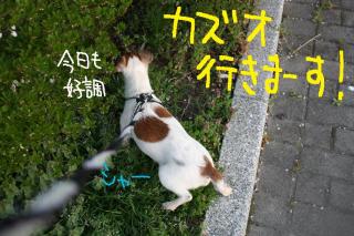 今日カズ０９０４１９　５