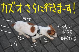 今日カズ０９０４１９　６