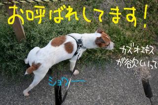 今日カズ０９０４１９　７