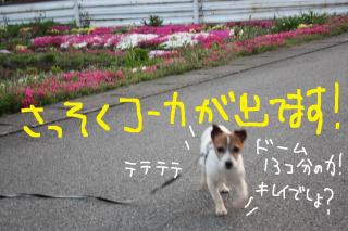 今日カズ０９０４１９　８