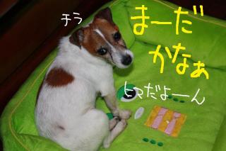 今日カズ０９０４２０　１