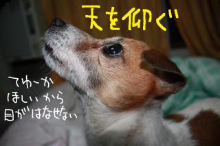 今日カズ０９０４２１　２