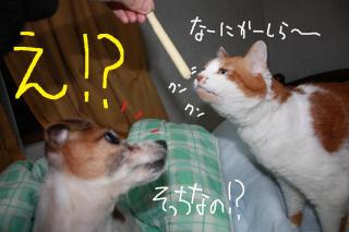 今日カズ０９０４２１　３