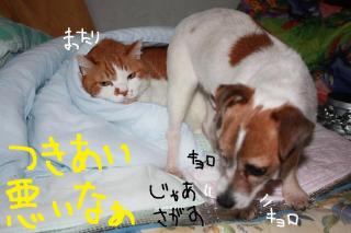 今日カズ０９０４２１　７