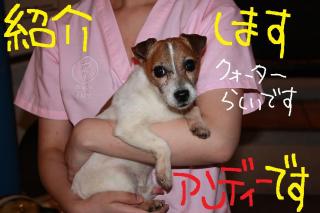 今日カズ０９０４２２　１