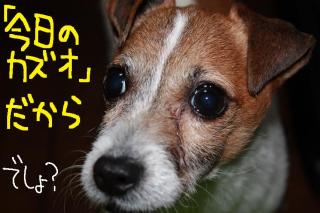 今日カズ０９０４２２　３