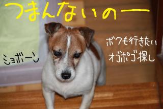 今日カズ０９０４２３　１