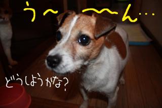 今日カズ０９０４２３　１０