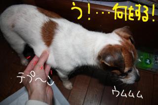 今日カズ０９０４２４　４