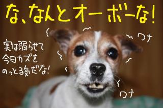 今日カズ０９０４２５　２