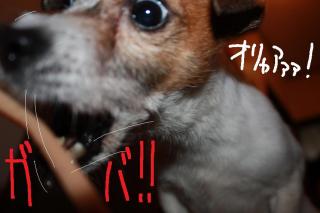 今日カズ０９０４２６　５