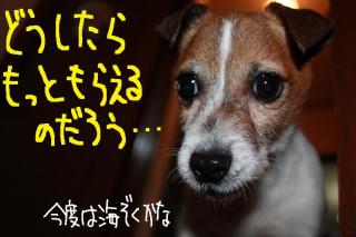 今日カズ０９０４２６　６