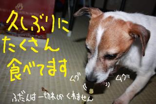 今日カズ０９０４２７　５